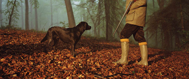 barbour hail wellies